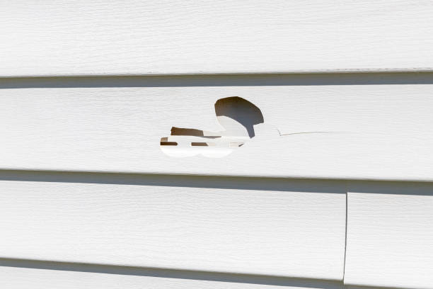 Best Vinyl Siding Installation  in Ellsworth, ME